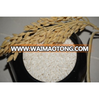 Made in Vietnam white GLUTINOUS RICE- Vivian ( Whatsapp/Viber:+841687627504 , Mail: Vivian@tpi-exim.com.vn)