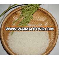 JAPONICA RICE, SUSHI RICE, PEARL RICE WITH BEST PRICE --- ( WHATSAPP: +841687627504)