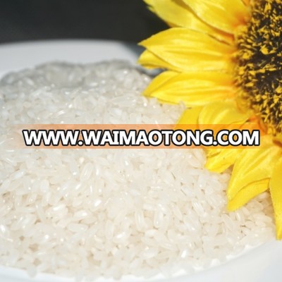 Viet Nam cheapest medium rice for all Buyers