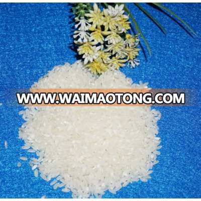 BEST QUALITY 5% BROKEN MEDIUM RICE/CALROSE RICE FOR BUYER