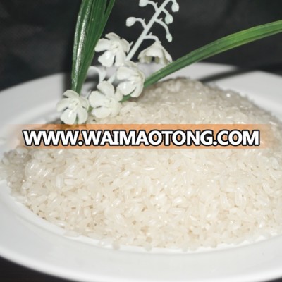 Viet Nam cheapest medium rice ready to sell