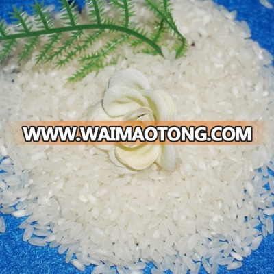 Medium Grain Rice 5% Broken - High Quality (Email: vivian@tpi-exim.com.vn)