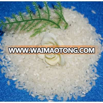 Medium Grain Write Rice (Raw) (Email: vivian@tpi-exim.com.vn)