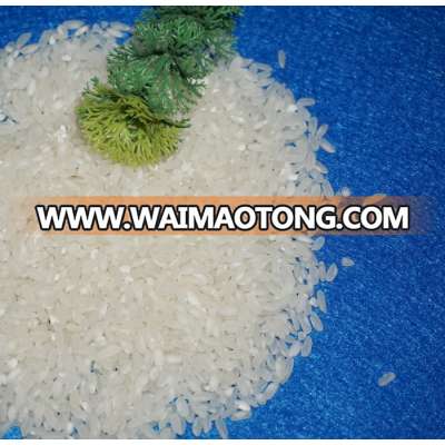 Toan Phat medium grain white rice (Email: vivian@tpi-exim.com.vn)