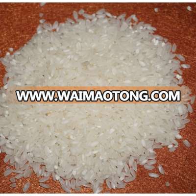 MEDIUM GRAIN SM CALROSE RICE ( vivian@tpi-exim.com.vn)