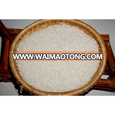 hot sale 5% broken calrose medium rice with hight quality ( vivian@tpi-exim.com.vn - Whatsapp: +841687627504)