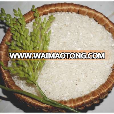 Medium Grain Rice 5% Broken - High Quality Vietnam Origin - Whatsapp/ ZALO: +841687627504 (Ms. Vivian)