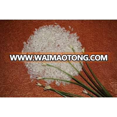 Medium Grain White Rice Vietnam 5% broken with best quality