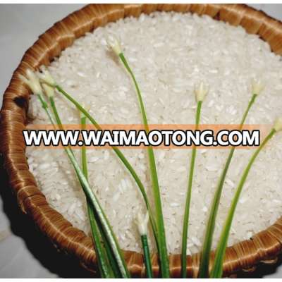 Whole sale 5% broken medium rice Vietnam Origin - Whatsapp/Zalo: +841664165599 (Ms.Anna Ngo)