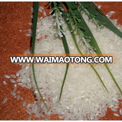 Best seller medium grain rice products ( vivian@tpi-exim.com.vn)