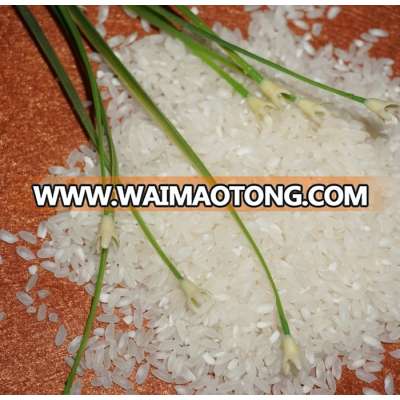 VIET NAM MEDIUM RICE/ ROUND RICE READY EXPORT ( vivian@tpi-exim.com.vn)