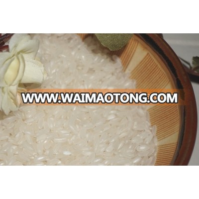 Viet Nam Medium grain white rice 5% broken- Short Rice ( Mail: vivian@tpi-exim.com.vn , Whatsapp: +841687627504)