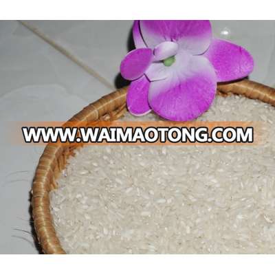 Vietnamese Medium Grain Rice - whatsapp+841687627504 (Ms. Vivian)