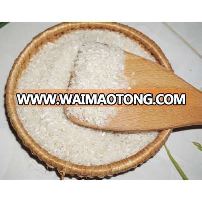 Vietnamese Medium Grain Rice 5% - whatsapp +841687627504 (Ms. Vivian)