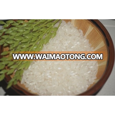 vietnamese medium rice - calrose rice FMCG products - Short Rice ( Mail: vivian@tpi-exim.com.vn , Whatsapp: +841687627504)