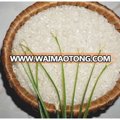 Whole sale 5% broken medium rice Vietnamese Origin - Whatsapp/Zalo: +841687627504 (Ms. Vivian)