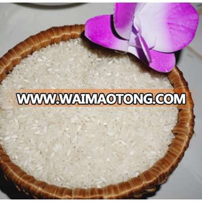 White Medium Rice Vietnamese Origin To All Importers - Whatsapp/ ZALO: +841687627504 (Ms. Vivian)