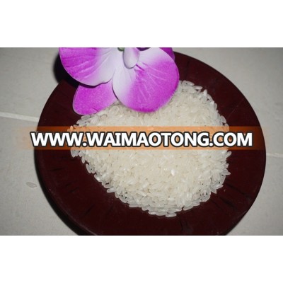 Medium Grain Rice (Japonica rice, Calrose rice, Sushi rice )