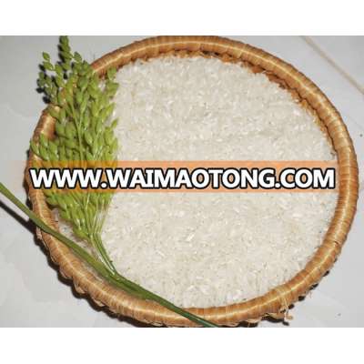 5% Broken Medium Grain Rice - whatsapp (+84)1635944400