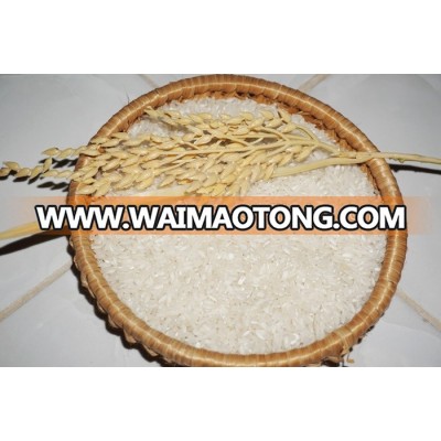 Medium Grain Rice - whatsapp+841687627504 (Ms. Vivian)