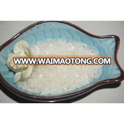 High Quality EGYPTIAN CAMOLINO MEDIUM RICE - Short Rice ( Mail: vivian@tpi-exim.com.vn , Whatsapp: +841687627504)