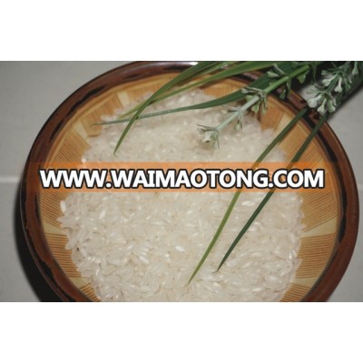 Viet Nam high quality medium rice for all Buyers - Short Rice ( Mail: vivian@tpi-exim.com.vn , Whatsapp: +841687627504)