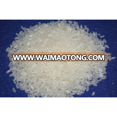 Camolino rice- High Quality - Short Rice ( Mail: vivian@tpi-exim.com.vn , Whatsapp: +841687627504)