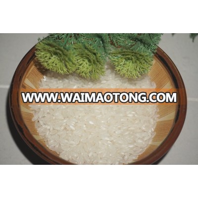 CALROSE RICE/ MEDIUM GRAIN RICE - HOT ITEM FOR PACIFIC ISLAND ( Mail: vivian@tpi-exim.com.vn , Whatsapp: +841687627504)