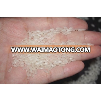 Best Quality Fragrant Medium Grain Rice - Short Rice ( Mail: vivian@tpi-exim.com.vn , Whatsapp: +841687627504)