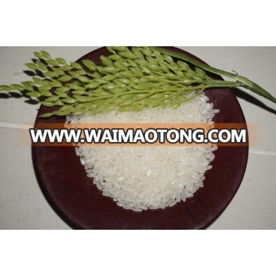 MEDIUM WHITE RICE 5% BROKEN - NEW CROP 2017