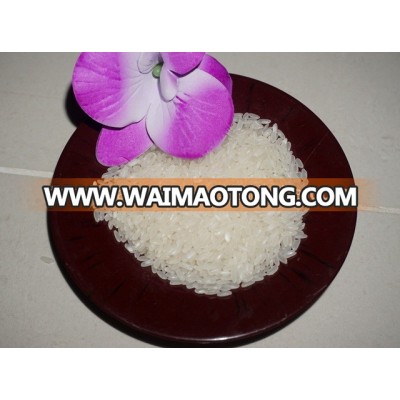 Medium Grain White Rice New crop 2017