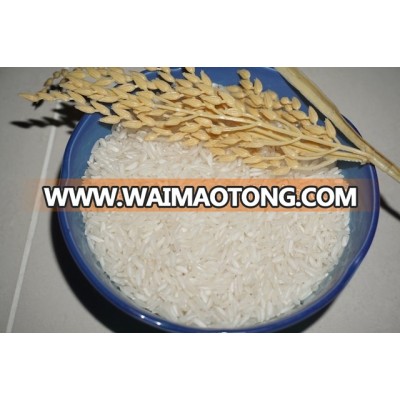 The cheapest long grain rice in vietnam ( Mail: vivian@tpi-exim.com.vn , Whatsapp: +841687627504)