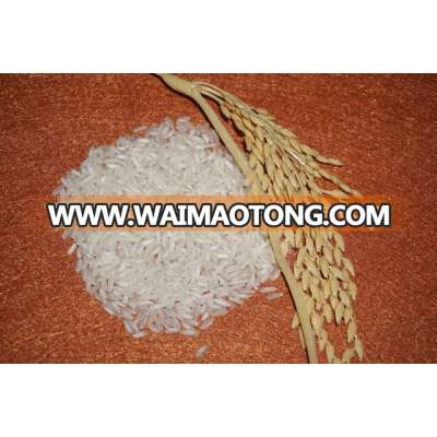 5% BROKEN New Crop Long Grain White Rice ( Mail: vivian@tpi-exim.com.vn , Whatsapp: +841687627504)